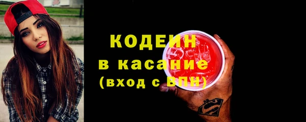 гашик Богданович