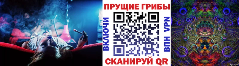 даркнет сайт Мегион Псилоцибиновые грибы GOLDEN TEACHER